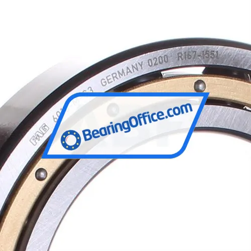 FAG 6018-M-C3 bearing image 2