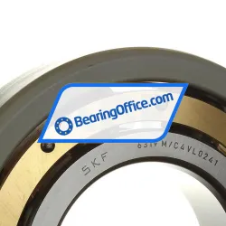 SKF 6319M/C4VL0241 rulman resim 2