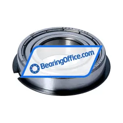 SKF 6005-2ZNR rulman resim 2