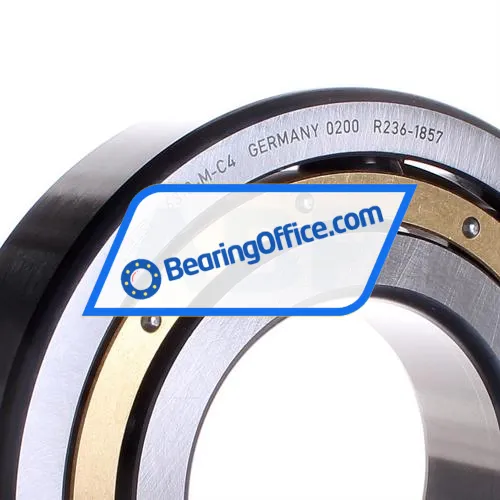 FAG 6318-M-C4 bearing image 2