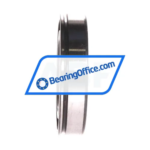 FAG 6009N bearing image 2