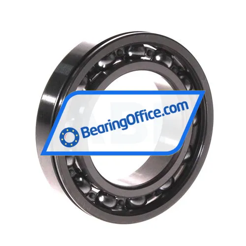 FAG 6009N bearing image 3