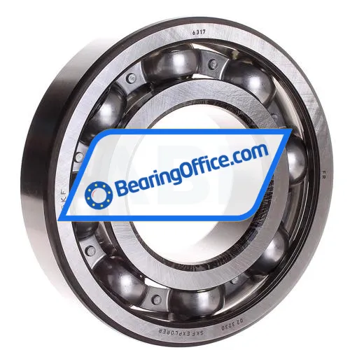 SKF 6317
