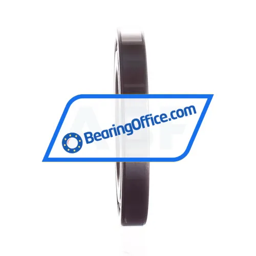 FAG 16009-A-C3 bearing image 2