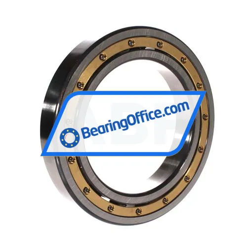 FAG 6024-MA-C3 bearing image 2