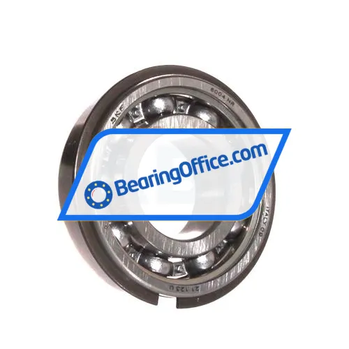 SKF 6004NR