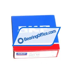 SKF 6004NR rulman resim 3