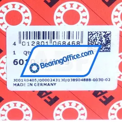 FAG 6010-MA-C3 rulman resim 7