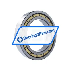 NKE 6034M rulman resim 2