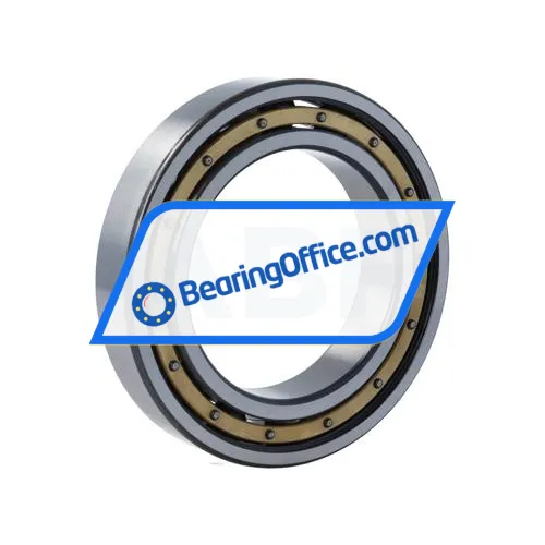 FAG 6016-M bearing image 2