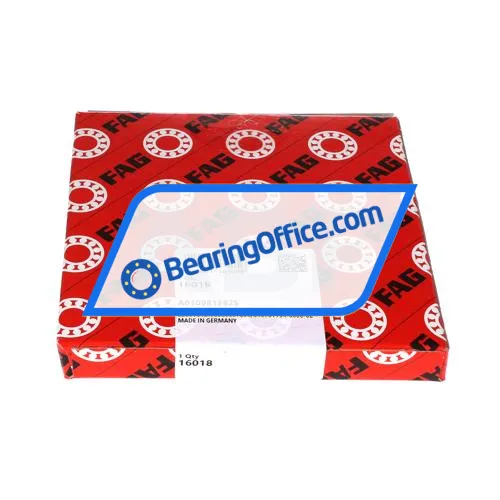 FAG 16018
