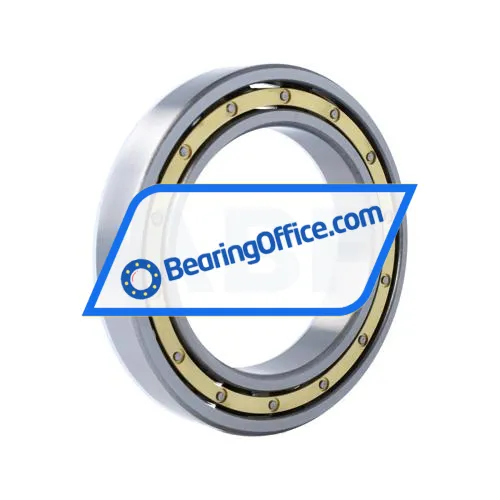 NKE 6024-M-C4 bearing image 2