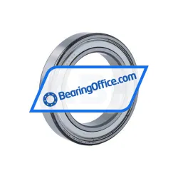 NTN 6013ZZCM/5K rulman resim 2