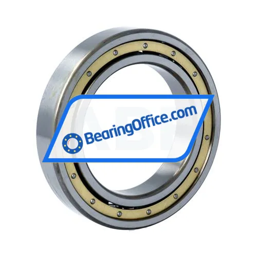 NSK 6013MC3 bearing image 2