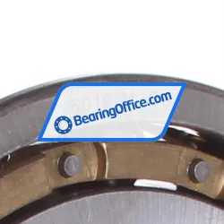 NKE 6016-M-C3 rulman resim 2