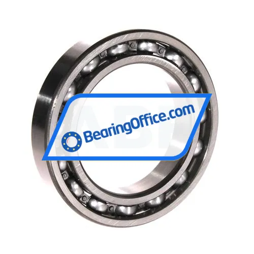 NSK 6013 bearing image 2
