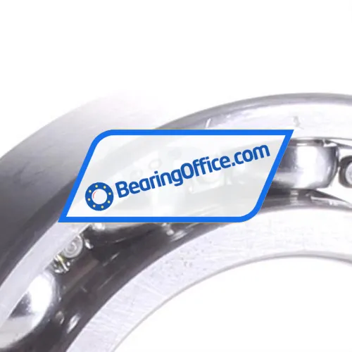 NSK 6009 bearing image 2