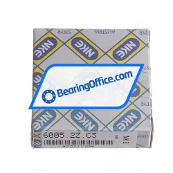 NKE 6005-2Z-C3 rulman resim 3