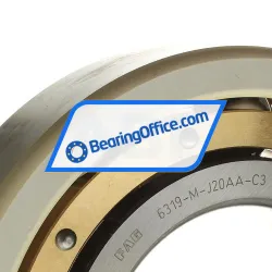 FAG 6319-M-J20AA-C3 rulman resim 2