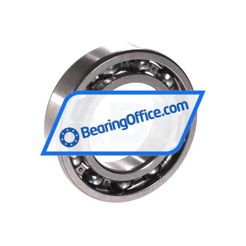 FAG 6007-H bearing image 2