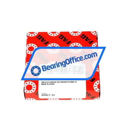 FAG 6007-H bearing image 3
