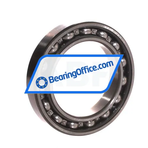 NSK 6013DUCM bearing image 2