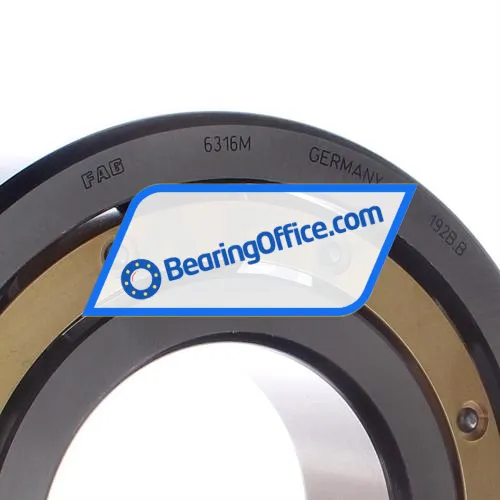 FAG 6316-M bearing image 2