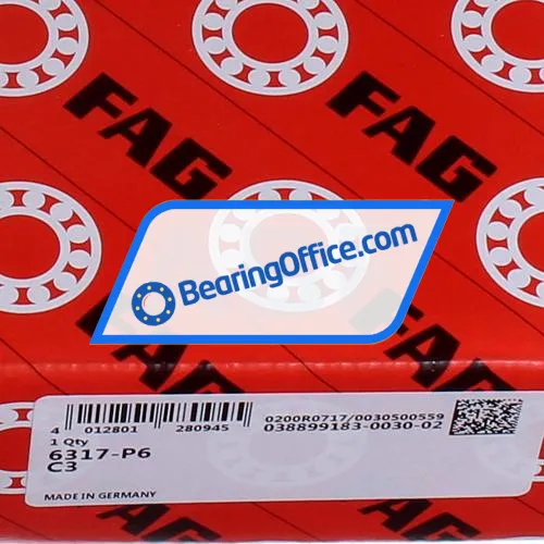 FAG 6317-P6-C3 bearing image 5