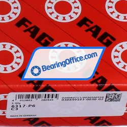 FAG 6317-P6-C3 rulman resim 5