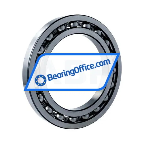 FAG 16024-C2 bearing image 2