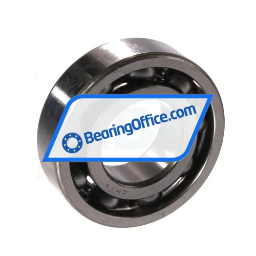 NTN 6004CM17 bearing image 2