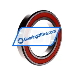 NTN 6021LU rulman resim 2