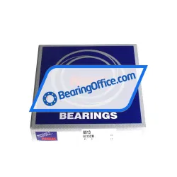 NSK 6013CM rulman resim 3