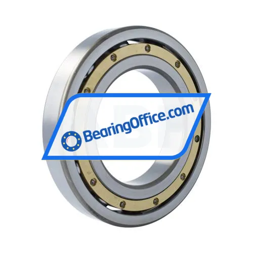 Koyo (JTEKT) RLS38 bearing image 2