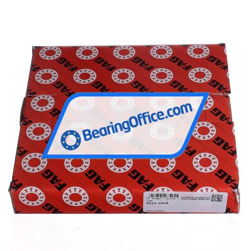 FAG 6024-2RSR bearing image 4