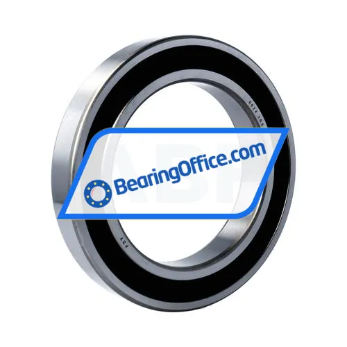 FSY (China) 6024 2RS