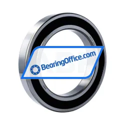 FSY (China) 6024 2RS