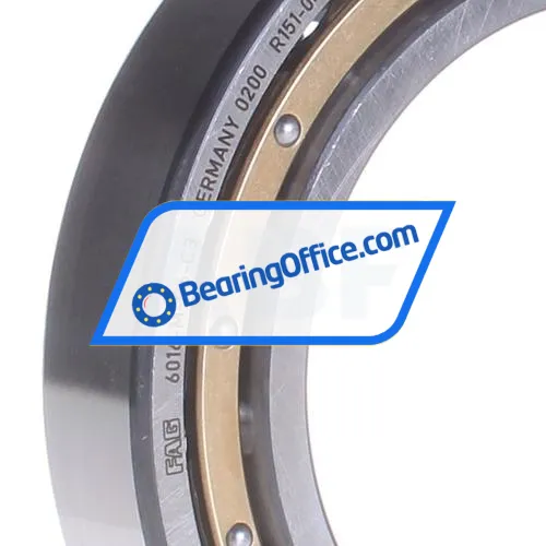 FAG 6016-M-P6-C3 bearing image 2