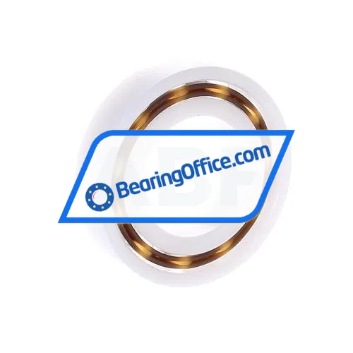 Neutral 6006POM bearing image 2