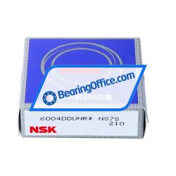 NSK 6004DDUNR rulman resim 3