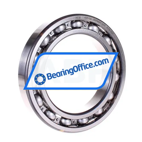 FAG 6021-C4 bearing image 2