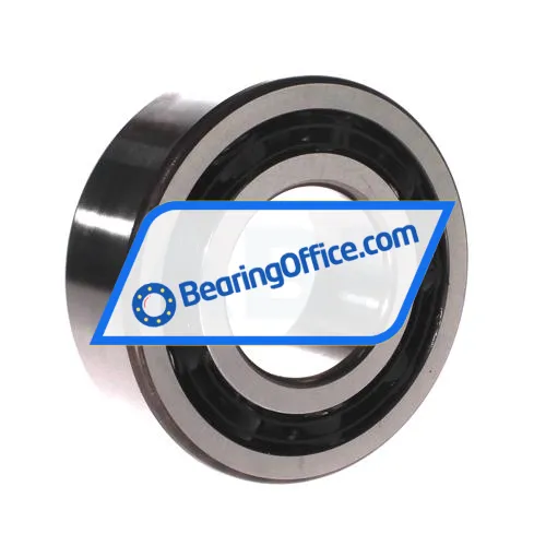 FAG 4313-B-TVH bearing image 2