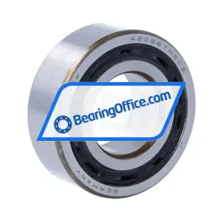 NSK 4205BTNGC3 YRLN5