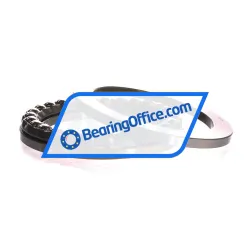 NSK 2919 rulman resim 4