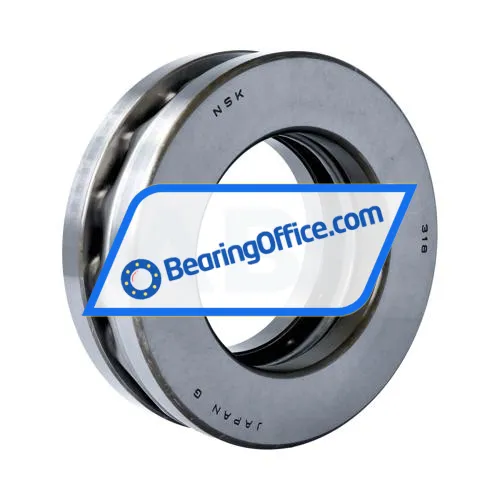 NSK 51318
