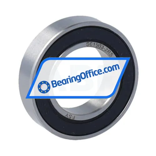 FSY (China) S61903-2RS