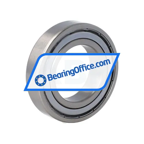 FSY (China) S6007ZZ bearing image 2