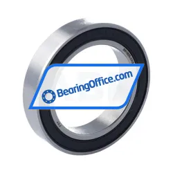 FSY (China) S61805-2RS