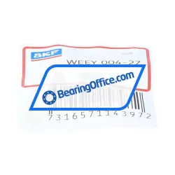 SKF WEEY004-2Z
