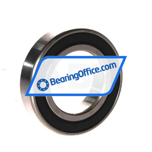SKF W6007-2RS1